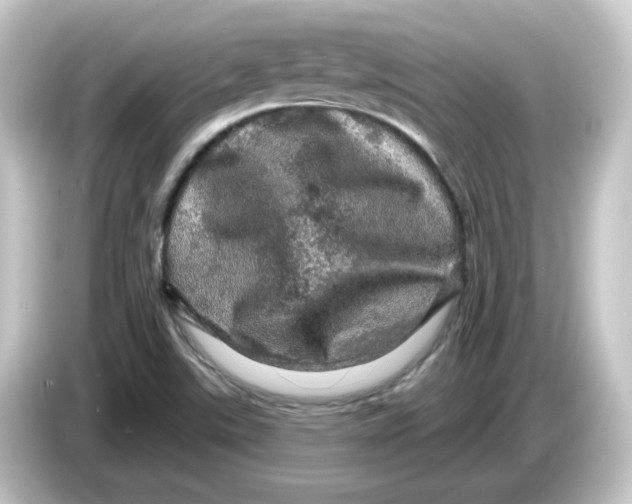 X0000084561507200703161655