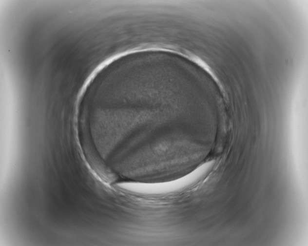 X0000084561508200703161655