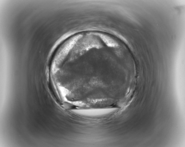 X0000084561509200703161655