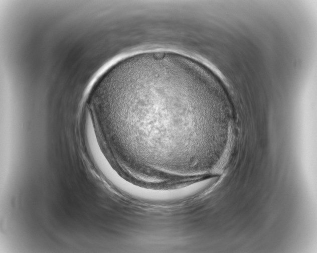 X0000084561510200703161655