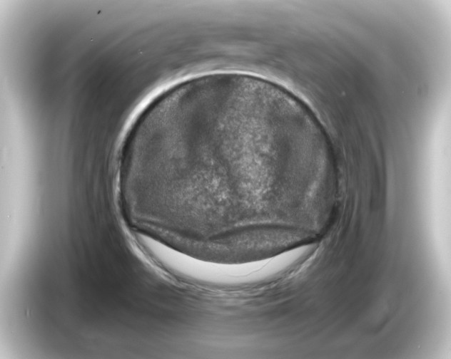 X0000084561511200703161655