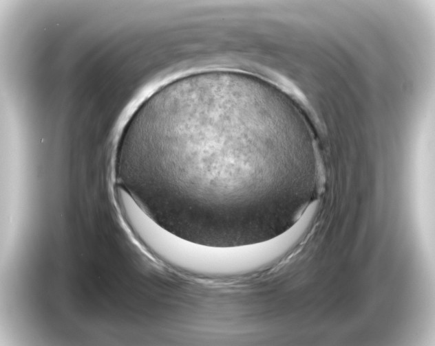 X0000084561512200703161655