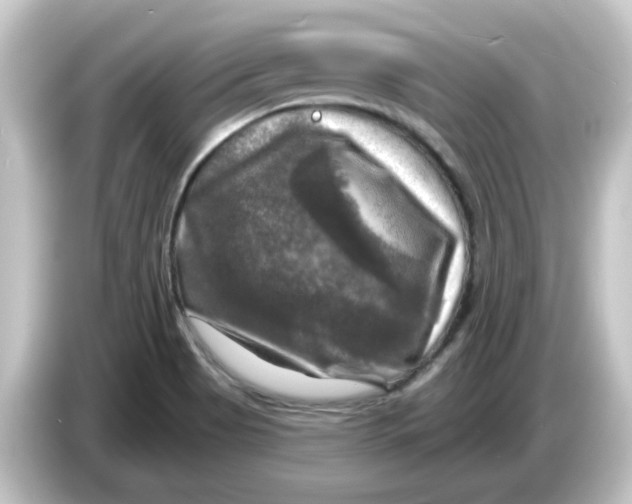 X0000084561513200703161655