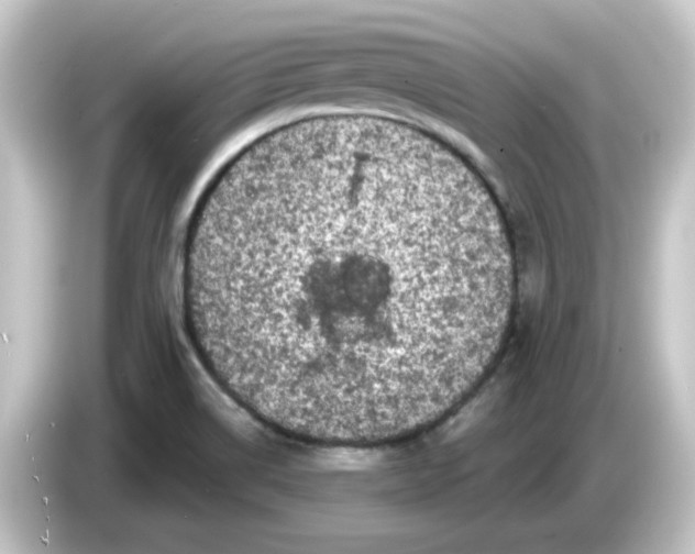 X0000084561514200703161655