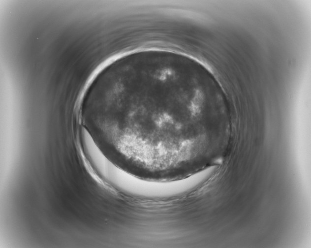 X0000084561515200703161655