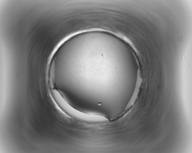 X0000084561516200703161655