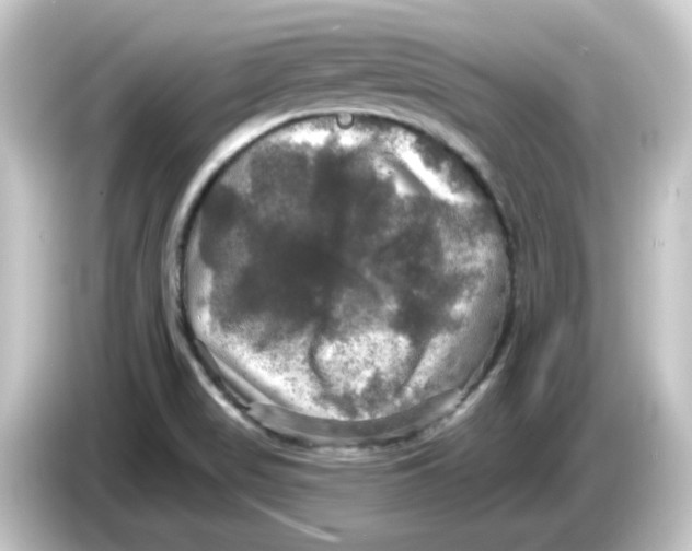 X0000084561517200703161655