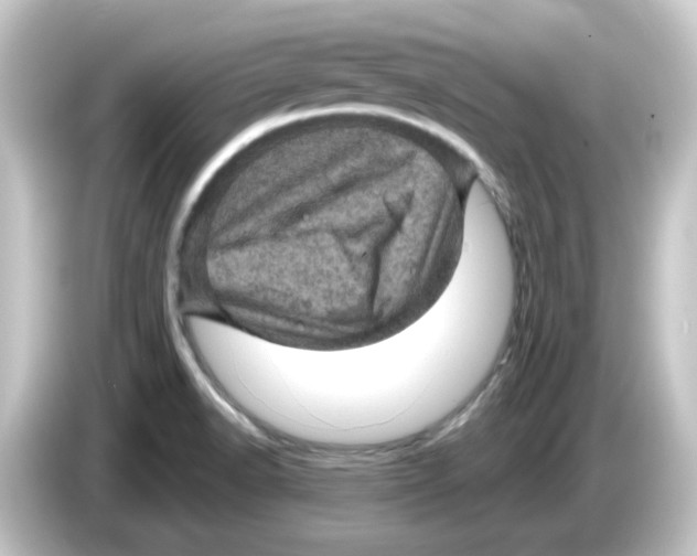 X0000084561518200703161655