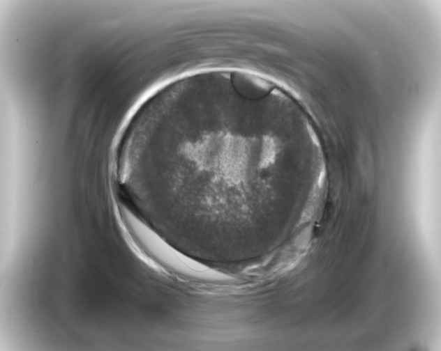 X0000084561519200703161655