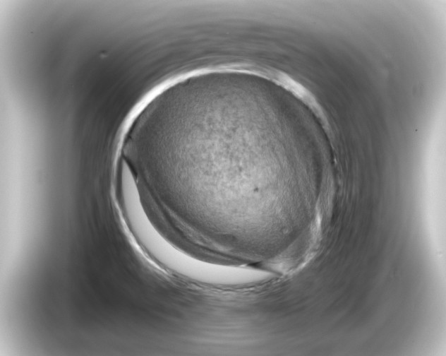 X0000084561520200703161655