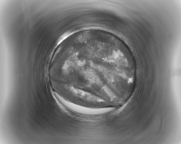 X0000084561521200703161655