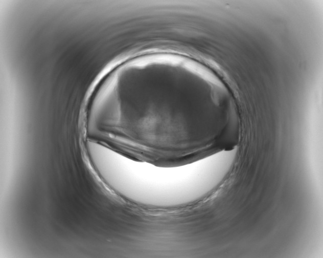 X0000084561522200703161655