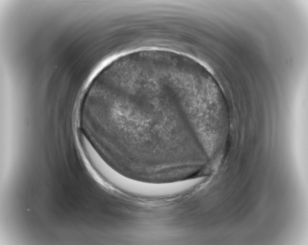 X0000084561523200703161655