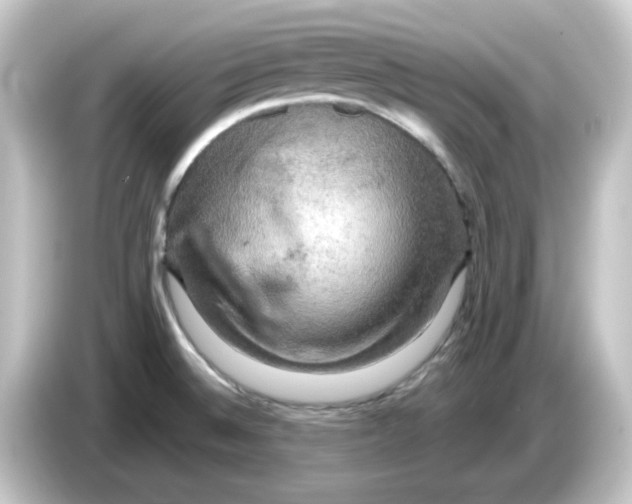 X0000084561524200703161655