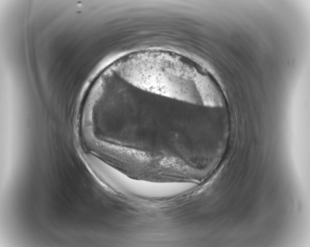 X0000084561525200703161655