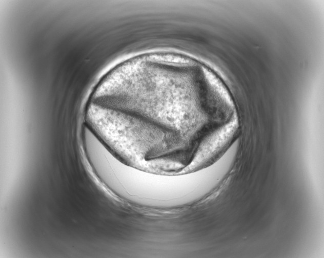 X0000084561526200703161655