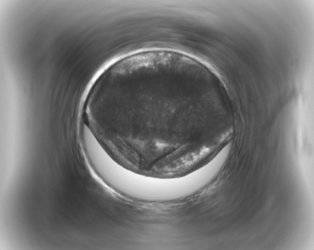 X0000084561527200703161655