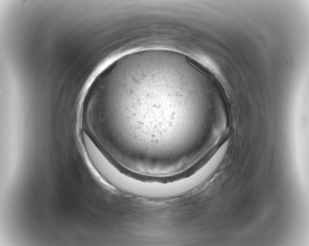 X0000084561528200703161655