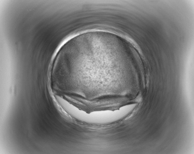 X0000084561530200703161655