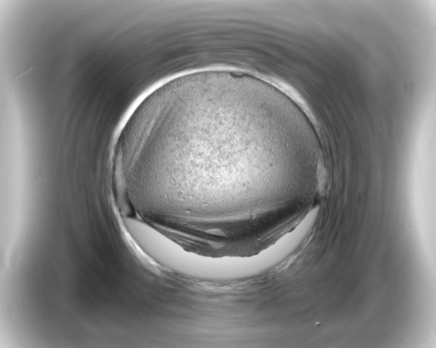 X0000084561532200703161655