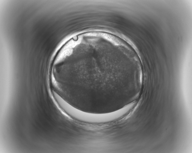 X0000084561533200703161655