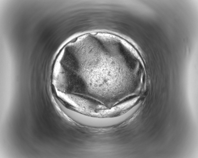 X0000084561534200703161655