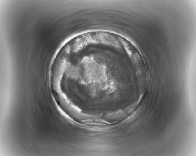 X0000084561535200703161655