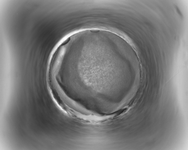 X0000084561536200703161655