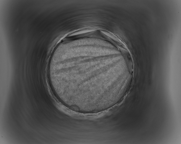 X0000084560001200703231809