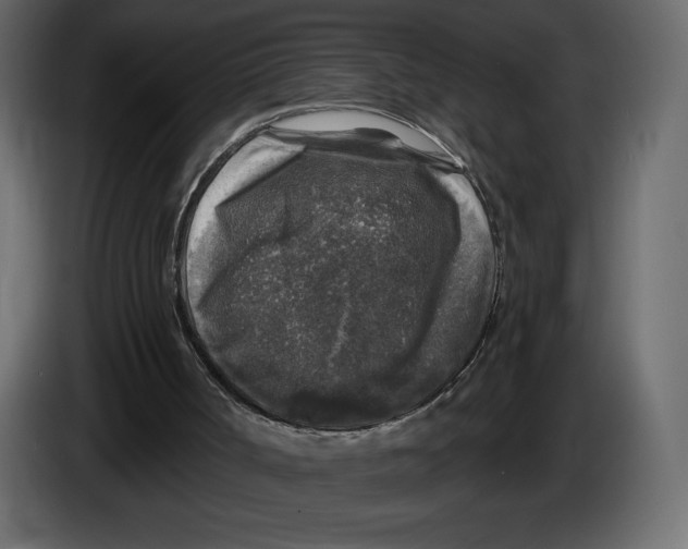 X0000084560002200703231809