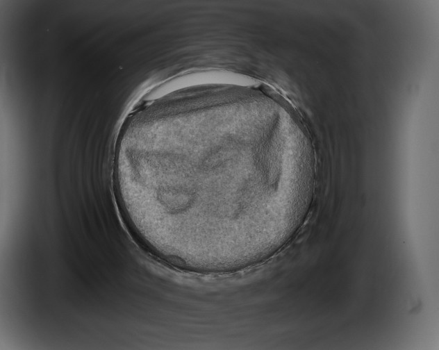 X0000084560003200703231809