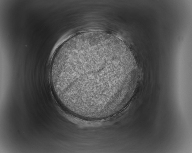 X0000084560004200703231809