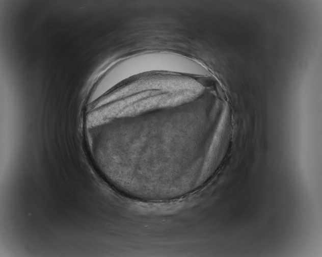 X0000084560005200703231809