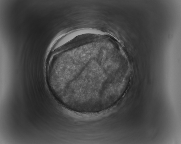 X0000084560006200703231809