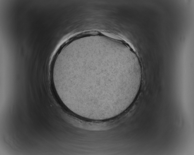 X0000084560008200703231809