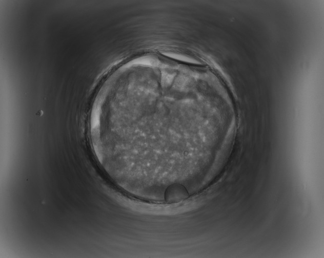 X0000084560010200703231809