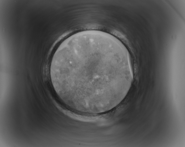 X0000084560012200703231809