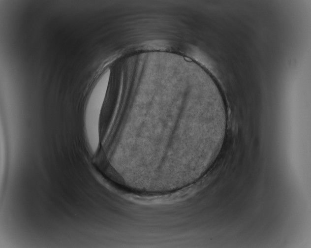 X0000084560013200703231809