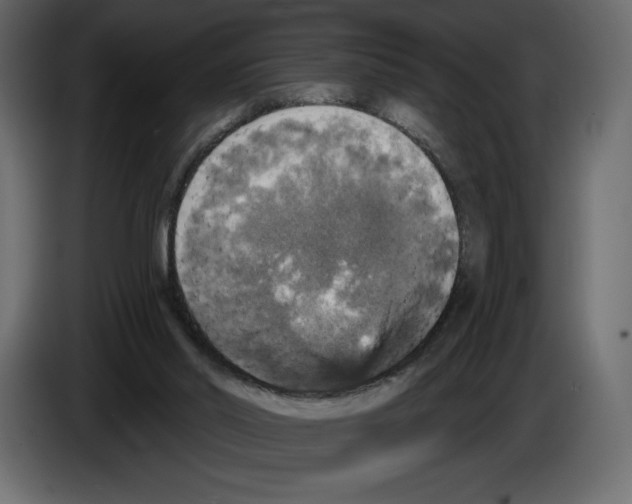 X0000084560014200703231809