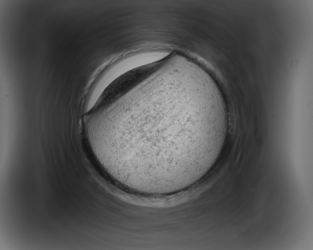 X0000084560015200703231809