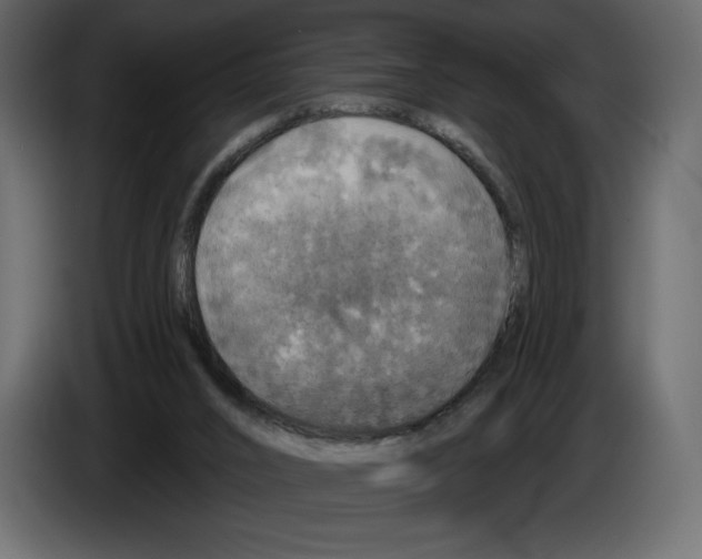 X0000084560016200703231809