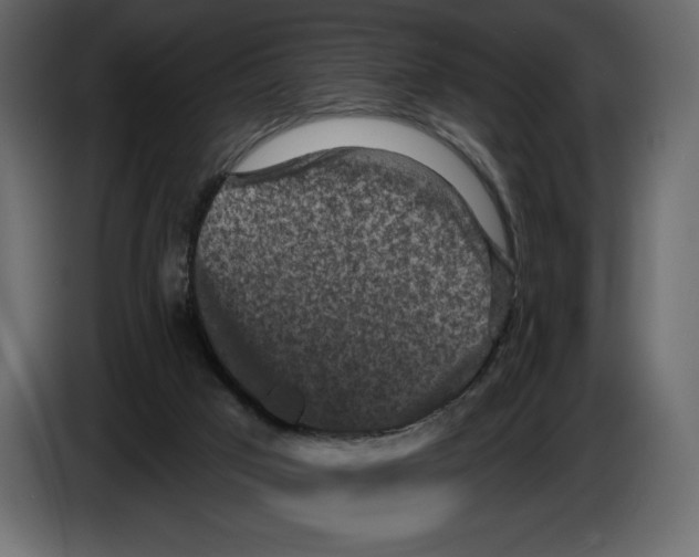 X0000084560017200703231809