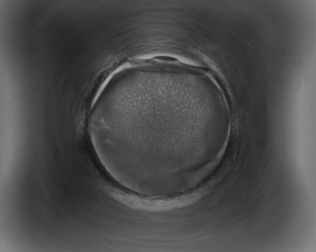 X0000084560018200703231809