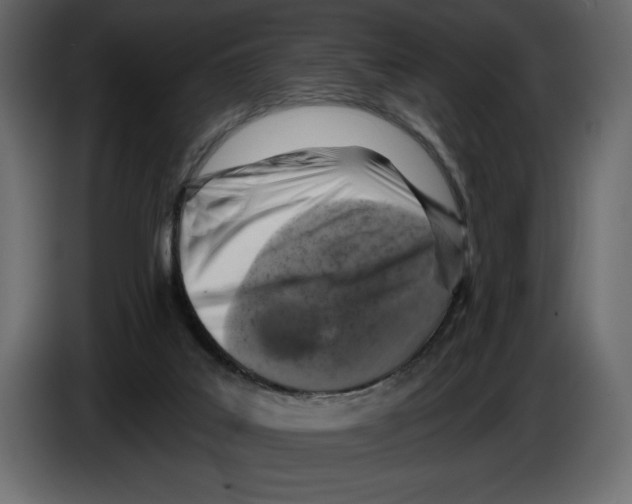 X0000084560019200703231809