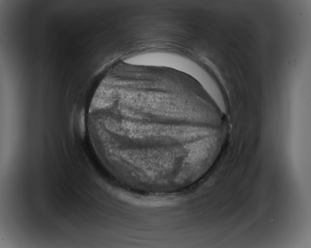 X0000084560020200703231809