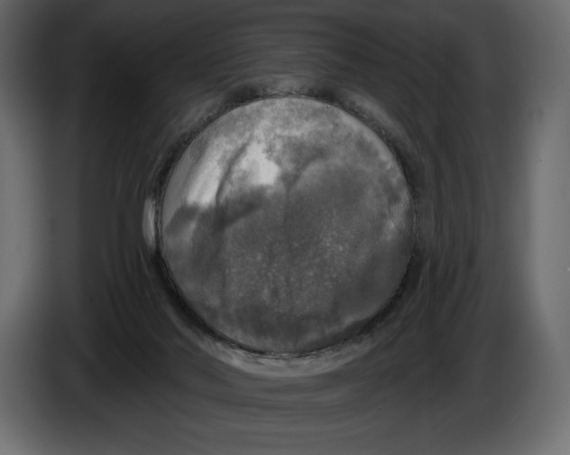 X0000084560022200703231809