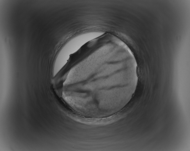 X0000084560023200703231809