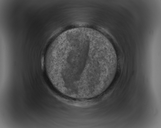 X0000084560024200703231809