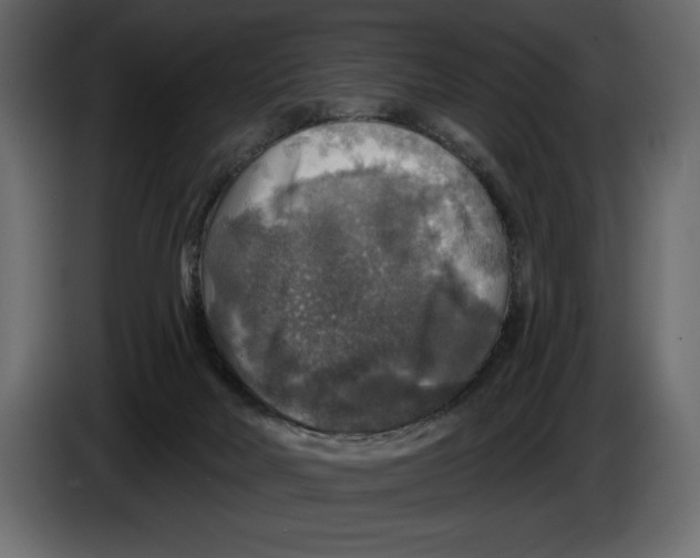 X0000084560026200703231809