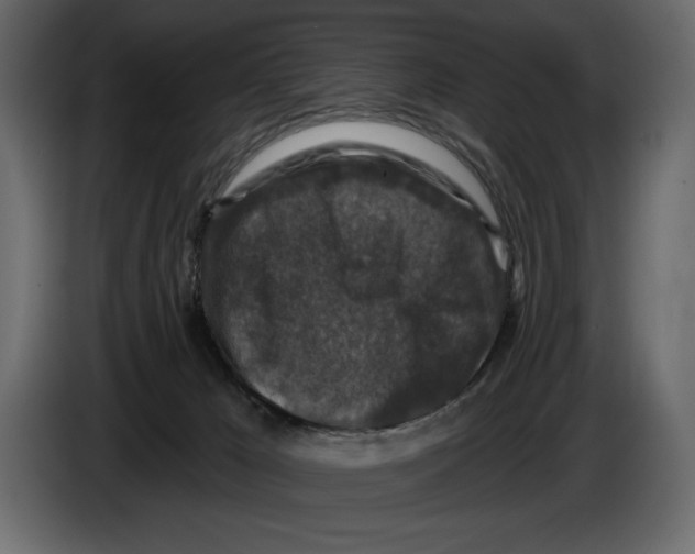 X0000084560029200703231809